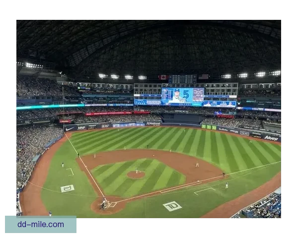 世界杯多伦多赛区增设临时看台提升观赛体验助力赛事氛围